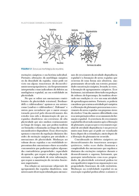 Plasticidade Cerebral e Aprendizagem