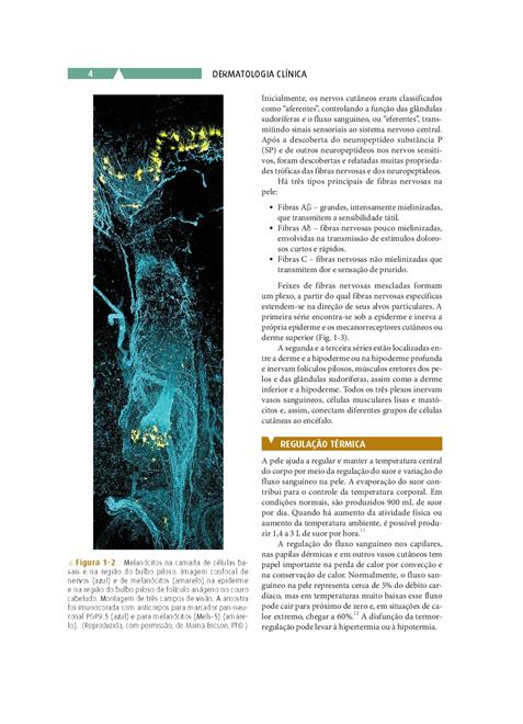 Dermatologia Clinica