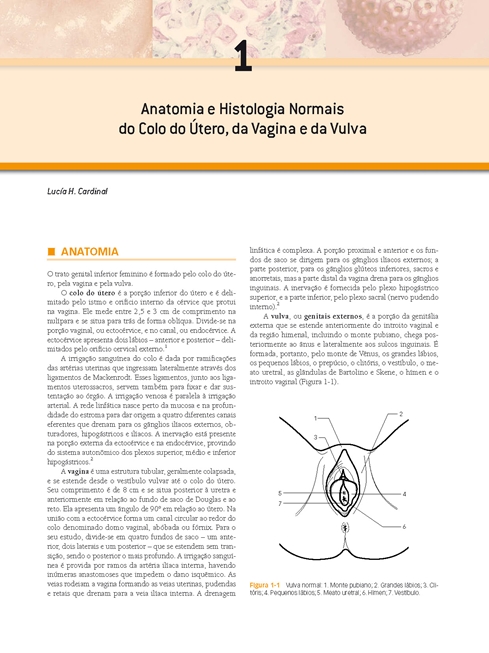 Colposcopia e Patologias do Trato Genital Inferior