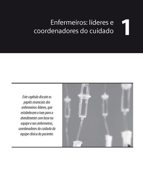 Temas e Estratégias para Liderança em Enfermagem