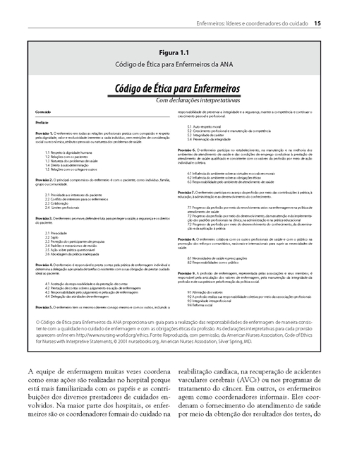 Temas e Estratégias para Liderança em Enfermagem