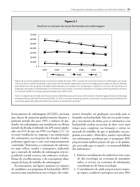 Temas e Estratégias para Liderança em Enfermagem