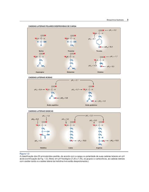 Bioquímica Ilustrada