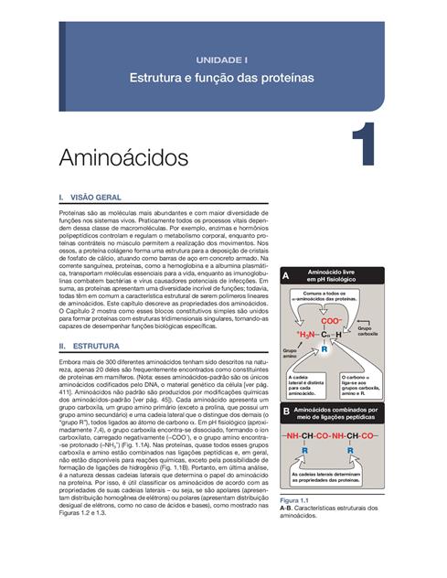 Bioquímica Ilustrada