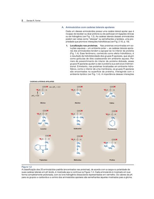 Bioquímica Ilustrada