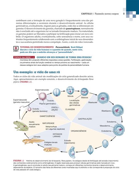 Biologia do Desenvolvimento