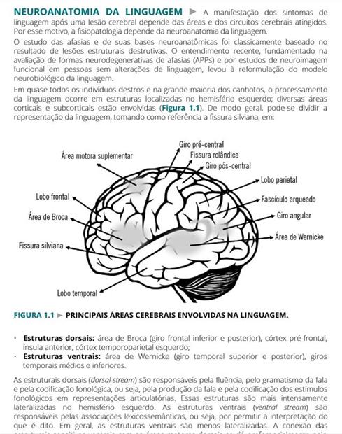 Sintomas e Sinais na Prática Médica