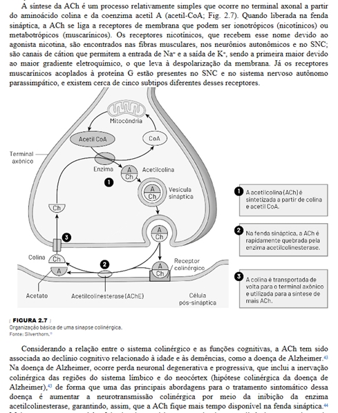 Neurobiologia dos Transtornos Psiquiátricos