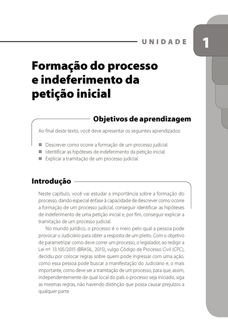 Instituições do Processo Civil