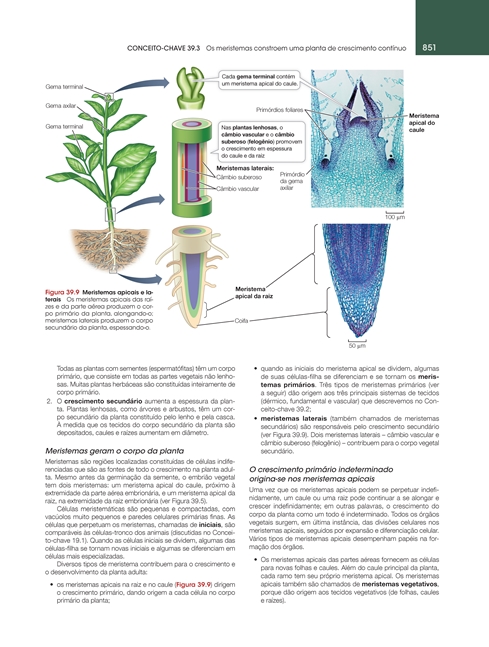 Vida: A Ciência da Biologia