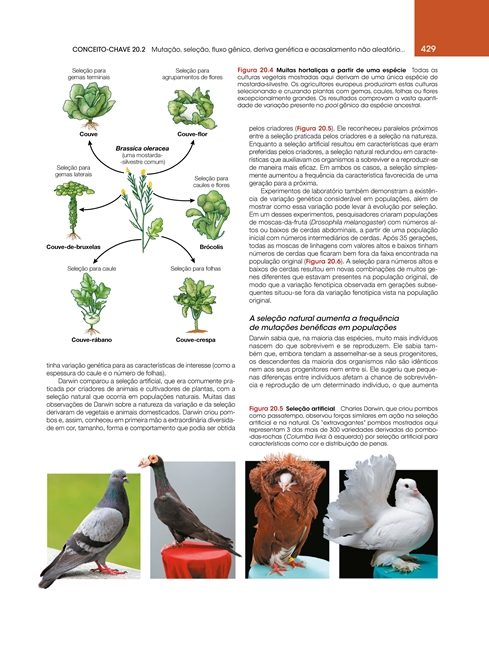 Vida: A Ciência da Biologia