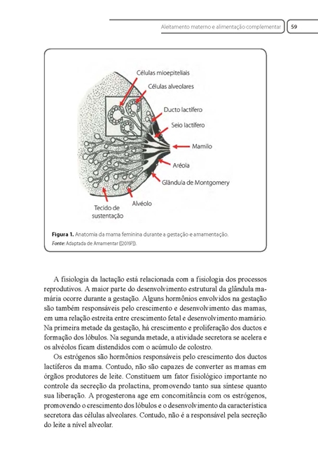 Cuidado Integral ao Recém-Nascido e à Criança