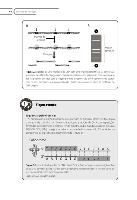 Biologia Molecular