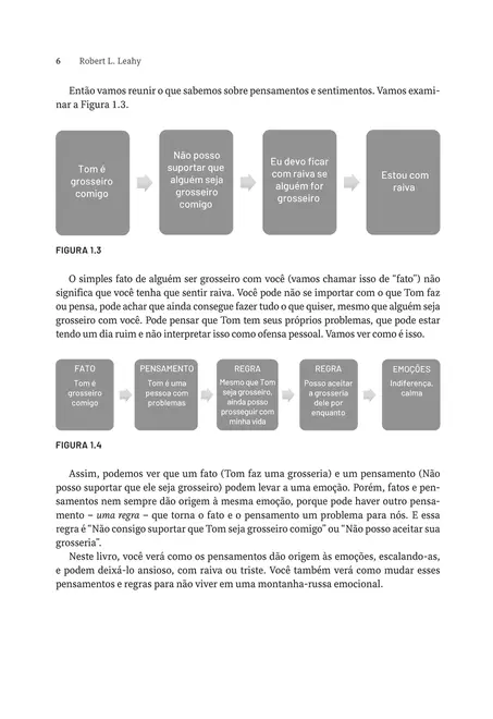 Não Acredite em Tudo Que Você Sente