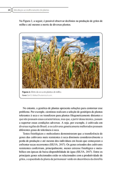 Melhoramento de Plantas