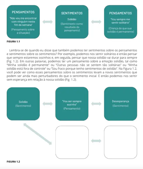 Não Acredite em Tudo Que Você Sente