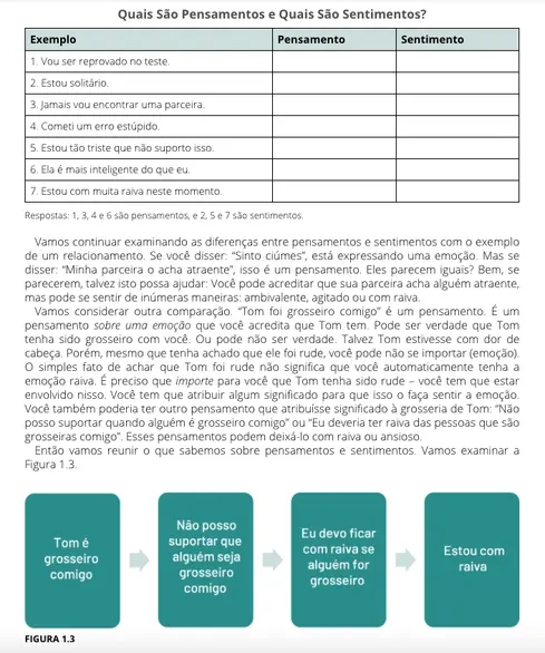 Não Acredite em Tudo Que Você Sente