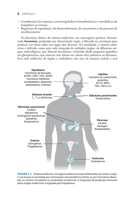 Fisiologia Endócrina