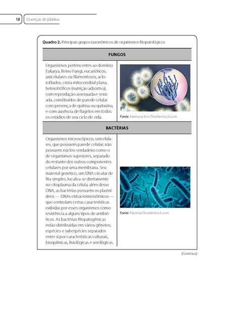 Fitopatologia