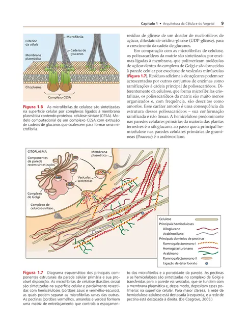 Fundamentos de Fisiologia Vegetal