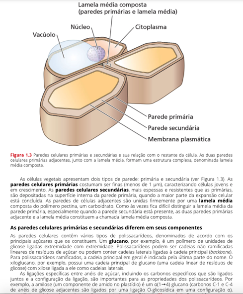 Fundamentos de Fisiologia Vegetal