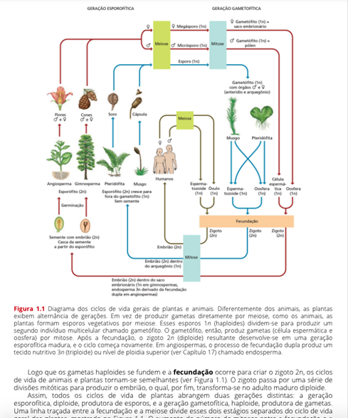 Fundamentos de Fisiologia Vegetal