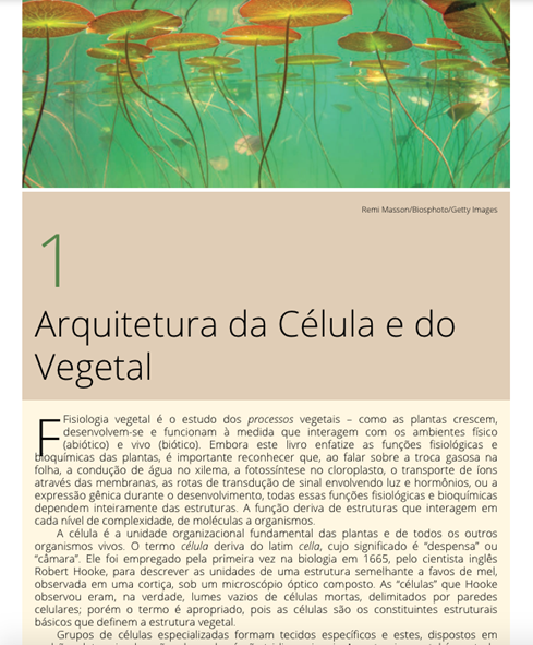 Fundamentos de Fisiologia Vegetal