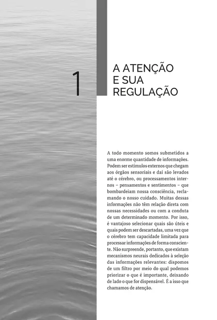 Neurociência e Mindfulness