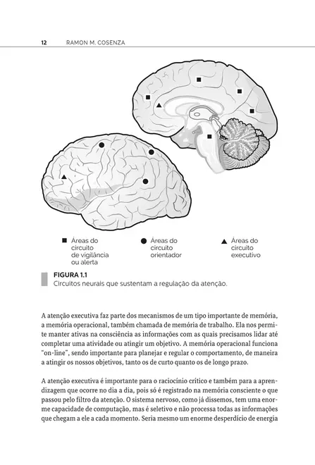 Neurociência e Mindfulness