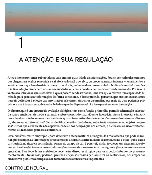 Neurociência e Mindfulness