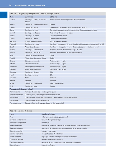 Anatomia dos Animais Domésticos
