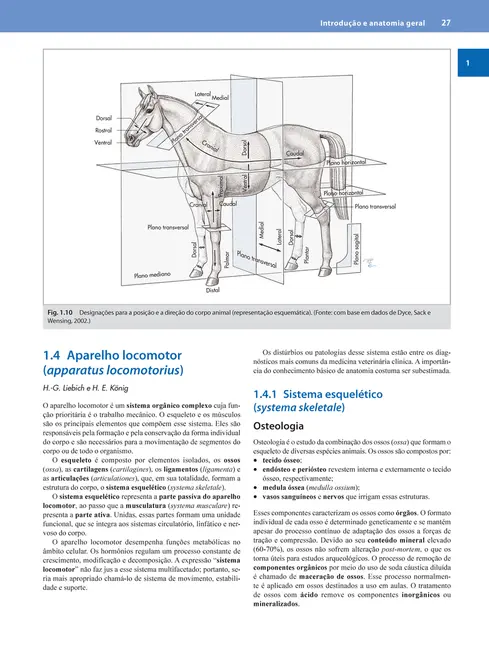Anatomia dos Animais Domésticos