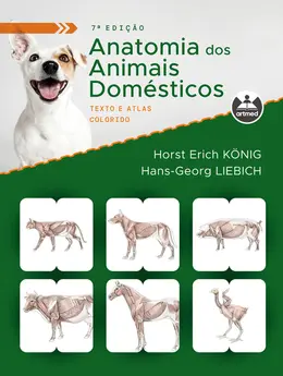Anatomia dos Animais Domésticos
