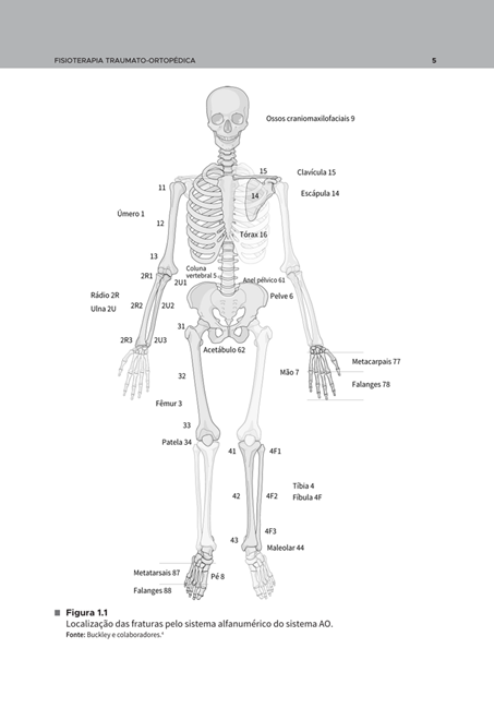 Fisioterapia traumato-ortopédica