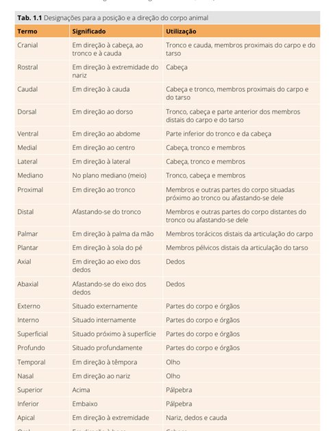 Anatomia dos Animais Domésticos