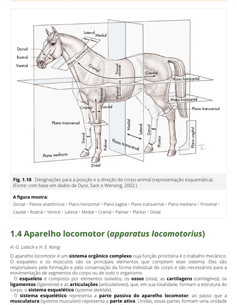 Anatomia dos Animais Domésticos