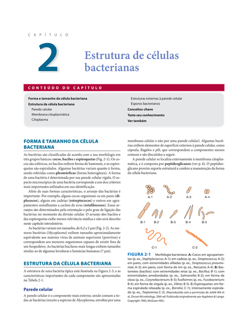 Microbiologia Médica e Imunologia