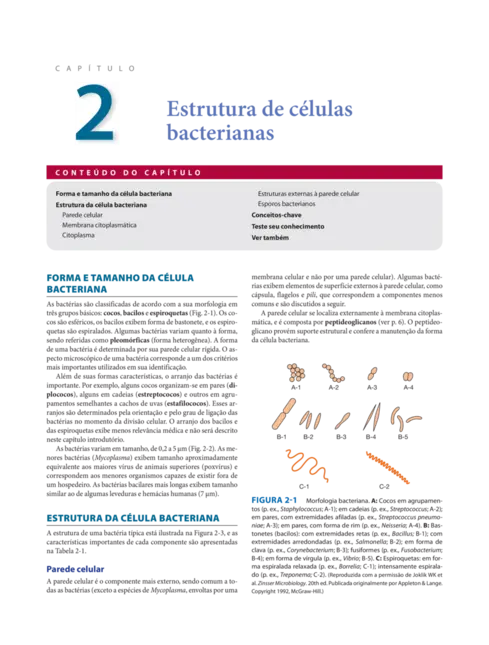 Microbiologia Médica e Imunologia