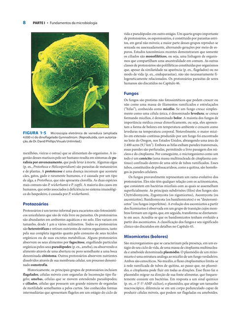 Microbiologia Médica de Jawetz, Melnick & Adelberg