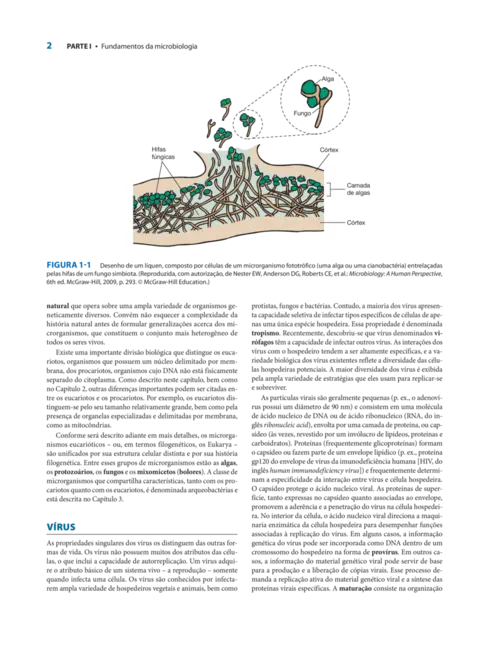 Microbiologia Médica de Jawetz, Melnick & Adelberg