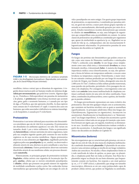 Microbiologia Médica de Jawetz, Melnick & Adelberg