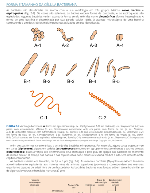 Microbiologia Médica e Imunologia