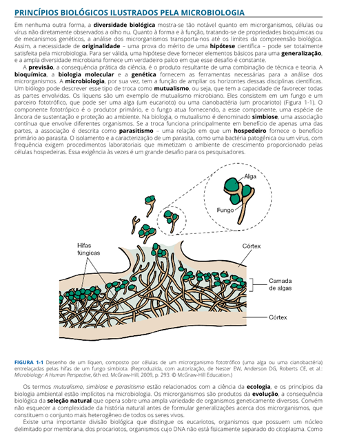 Microbiologia Médica de Jawetz, Melnick & Adelberg