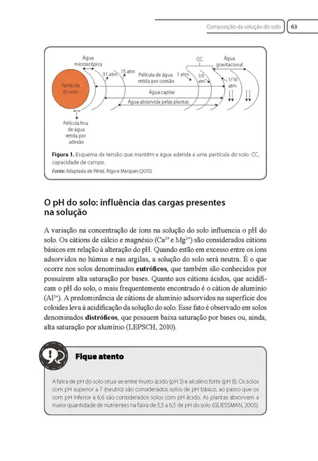 Química e Fertilidade do Solo