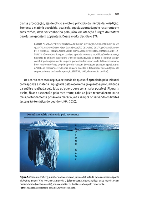 Direito Processual Penal: Procedimentos e Recursos