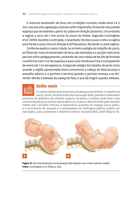 Fisioterapia Urológica e Ginecológica