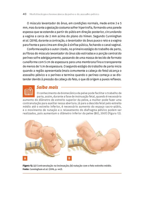 Fisioterapia Urológica e Ginecológica