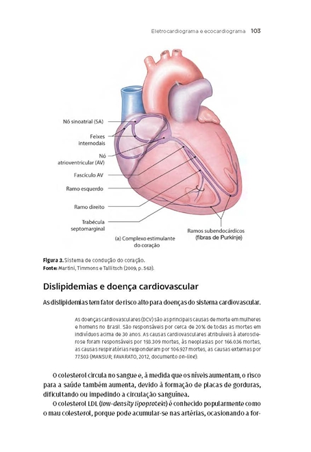 Fisioterapia Cardiovascular