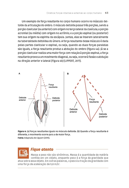 Biomecânica dos Esportes