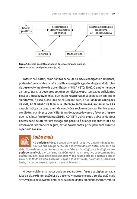 Exercício Físico para Crianças e Jovens